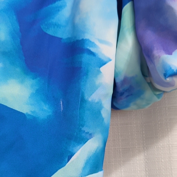 Blue Floral Dress - Picture 16 of 16